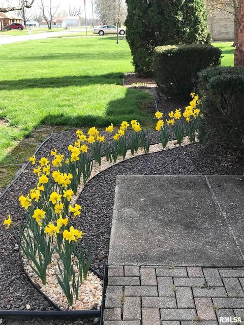 Tiny photo for 202 Dinah Lane, Marion, IL 62959 (MLS # QC4269361)