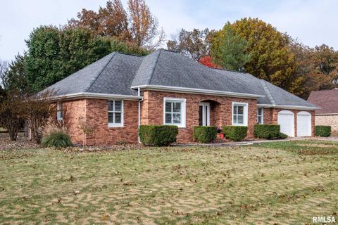 Tiny photo for 202 Dinah Lane, Marion, IL 62959 (MLS # QC4269361)