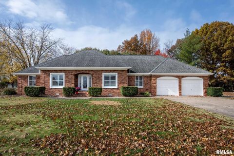 Tiny photo for 202 Dinah Lane, Marion, IL 62959 (MLS # QC4269361)