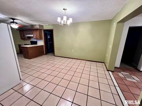 Tiny photo for 404 OAK Street, Anna, IL 62906 (MLS # QC4267597)