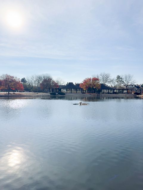 Tiny photo for 2015 S Finley Road #812, Lombard, IL 60148 (MLS # 12525010)