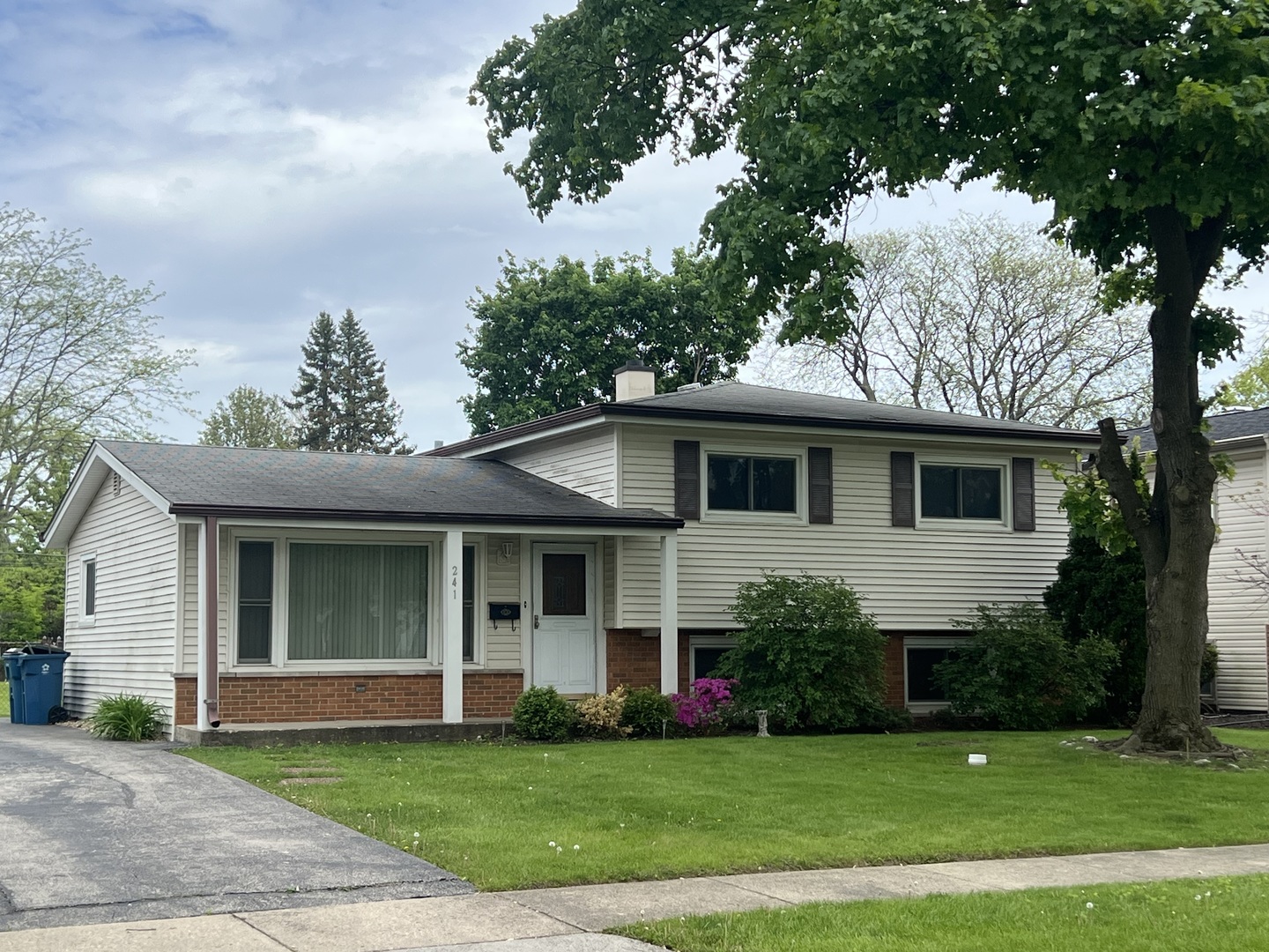 241 N Brashares Drive
