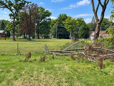 Tiny photo for 38 S Rebecca Street, Glenwood, IL 60425 (MLS # 12753728)