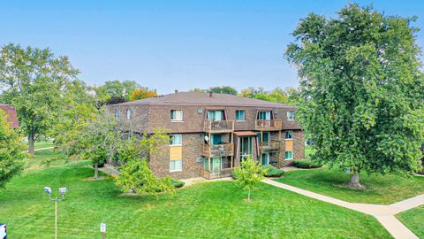 Tiny photo for 19380 Wolf Road #6, Mokena, IL 60448 (MLS # 12492071)