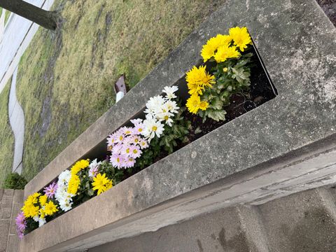 Tiny photo for 7636 W Rosedale Avenue W, Chicago, IL 60631 (MLS # 12456530)