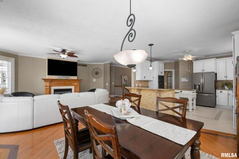 Tiny photo for 126 9TH Street, Hampton, IL 61256 (MLS # QC4266536)