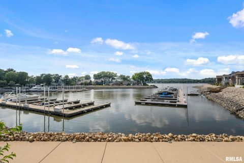 Tiny photo for 126 9TH Street, Hampton, IL 61256 (MLS # QC4266536)