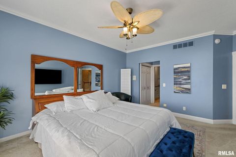 Tiny photo for 126 9TH Street, Hampton, IL 61256 (MLS # QC4266536)