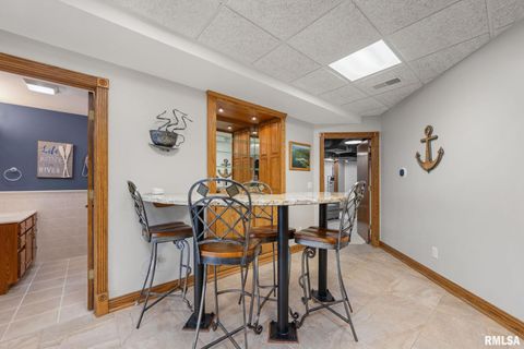 Tiny photo for 126 9TH Street, Hampton, IL 61256 (MLS # QC4266536)