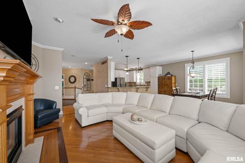 Tiny photo for 126 9TH Street, Hampton, IL 61256 (MLS # QC4266536)