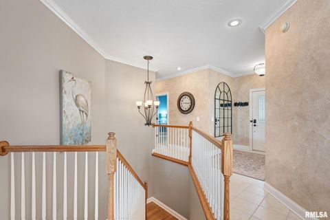 Tiny photo for 126 9TH Street, Hampton, IL 61256 (MLS # QC4266536)