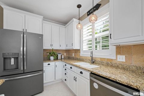 Tiny photo for 126 9TH Street, Hampton, IL 61256 (MLS # QC4266536)