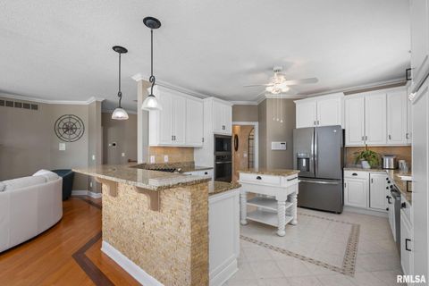 Tiny photo for 126 9TH Street, Hampton, IL 61256 (MLS # QC4266536)