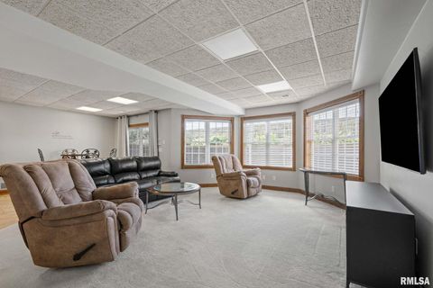 Tiny photo for 126 9TH Street, Hampton, IL 61256 (MLS # QC4266536)