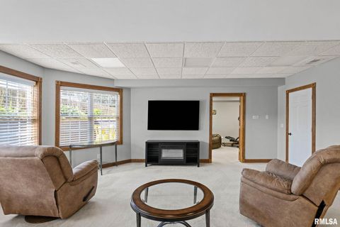 Tiny photo for 126 9TH Street, Hampton, IL 61256 (MLS # QC4266536)