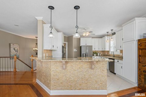 Tiny photo for 126 9TH Street, Hampton, IL 61256 (MLS # QC4266536)