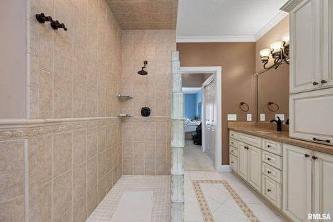 Tiny photo for 126 9TH Street, Hampton, IL 61256 (MLS # QC4266536)