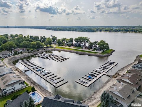 Tiny photo for 126 9TH Street, Hampton, IL 61256 (MLS # QC4266536)