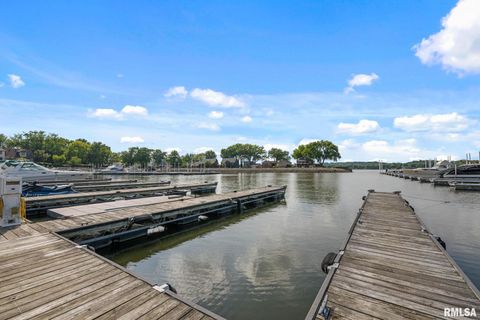 Tiny photo for 126 9TH Street, Hampton, IL 61256 (MLS # QC4266536)