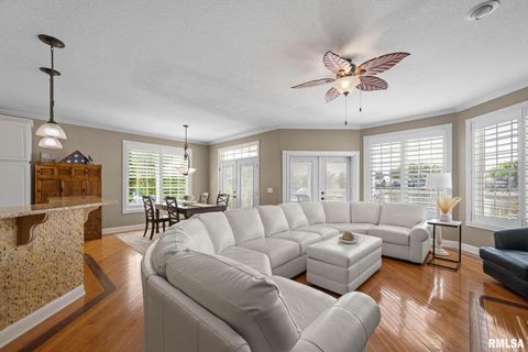 Tiny photo for 126 9TH Street, Hampton, IL 61256 (MLS # QC4266536)