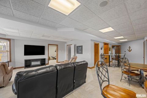 Tiny photo for 126 9TH Street, Hampton, IL 61256 (MLS # QC4266536)