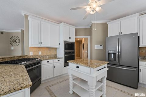 Tiny photo for 126 9TH Street, Hampton, IL 61256 (MLS # QC4266536)