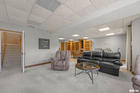 Tiny photo for 126 9TH Street, Hampton, IL 61256 (MLS # QC4266536)