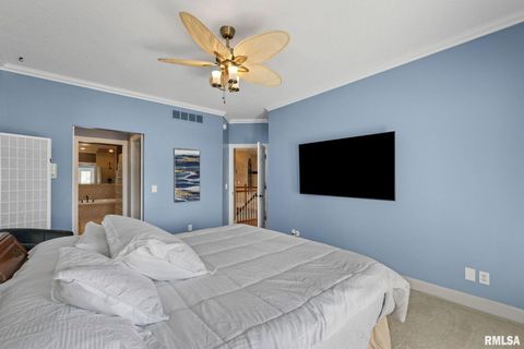 Tiny photo for 126 9TH Street, Hampton, IL 61256 (MLS # QC4266536)