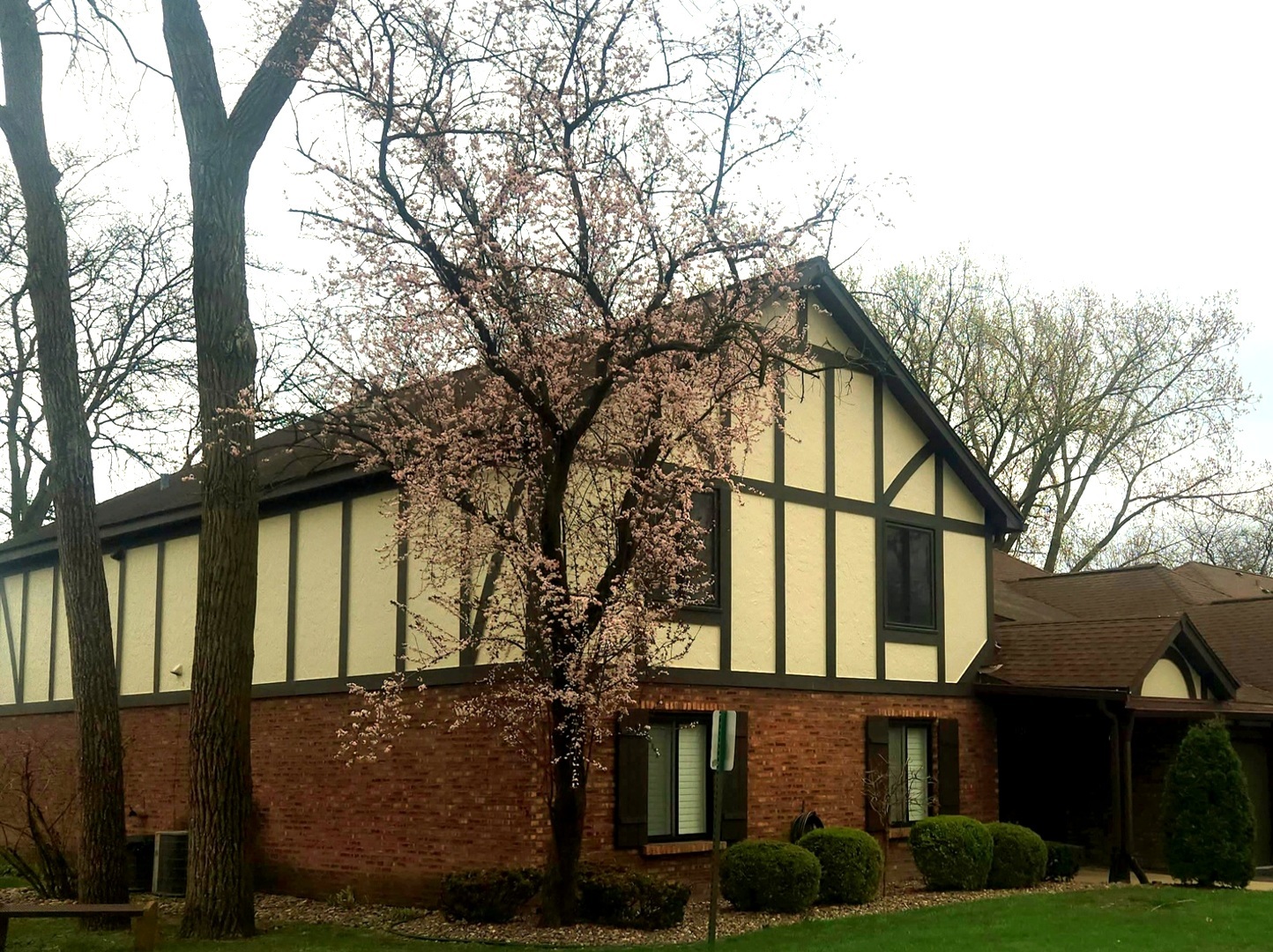 11241 Sycamore Lane A