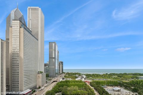 Tiny photo for 130 N Garland Court #2009, Chicago, IL 60602 (MLS # 12455485)
