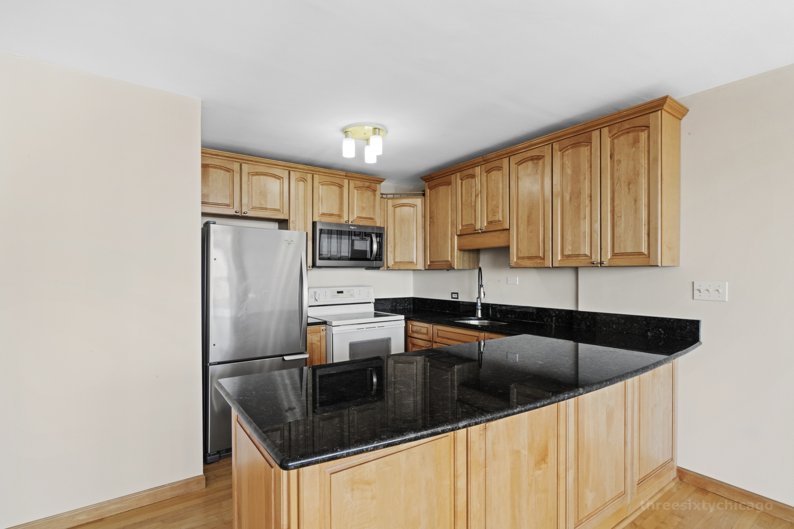 1460 N Sandburg Terrace 1910A