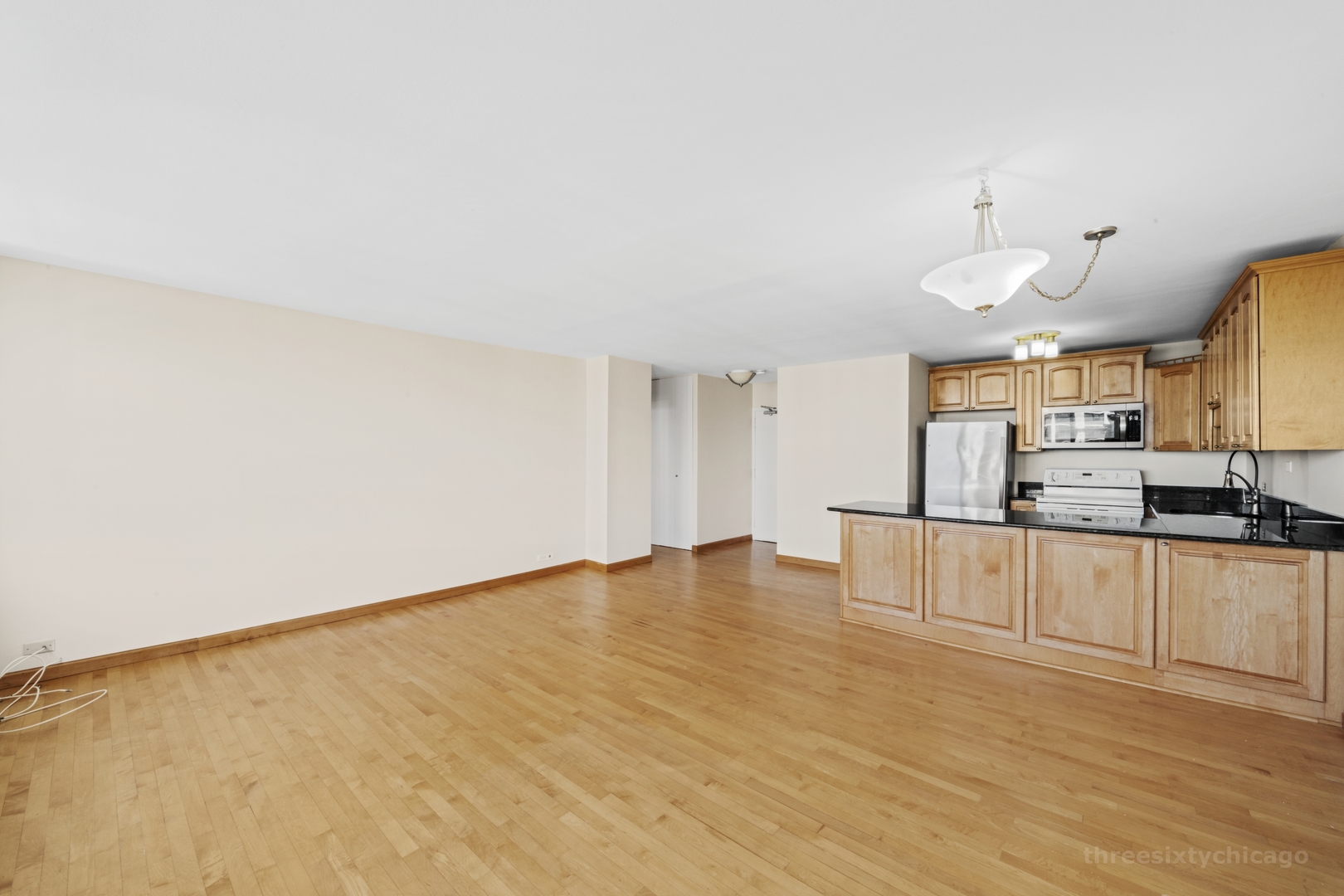 1460 N Sandburg Terrace 1910A