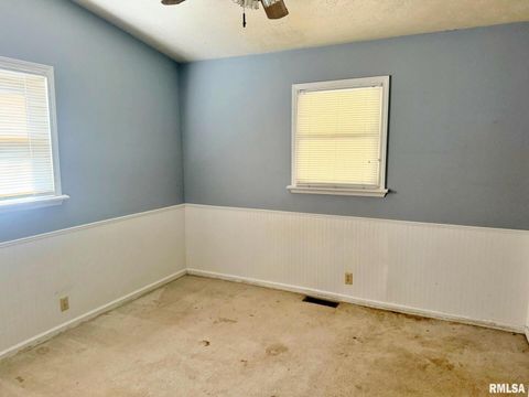 Tiny photo for 24 Adkins Street, Metropolis, IL 62960 (MLS # EB458706)