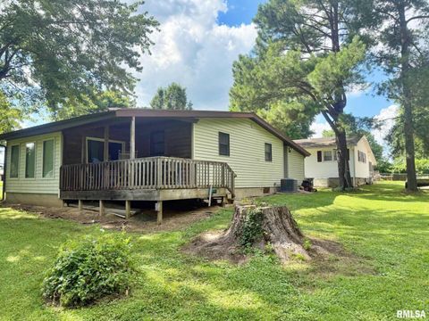 Tiny photo for 24 Adkins Street, Metropolis, IL 62960 (MLS # EB458706)