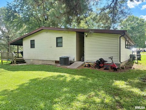 Tiny photo for 24 Adkins Street, Metropolis, IL 62960 (MLS # EB458706)