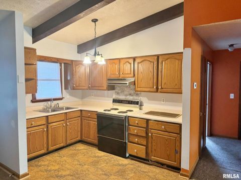 Tiny photo for 24 Adkins Street, Metropolis, IL 62960 (MLS # EB458706)