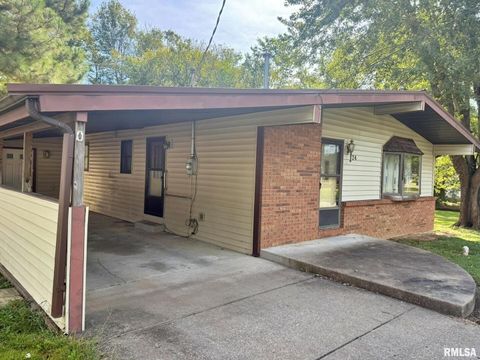Tiny photo for 24 Adkins Street, Metropolis, IL 62960 (MLS # EB458706)