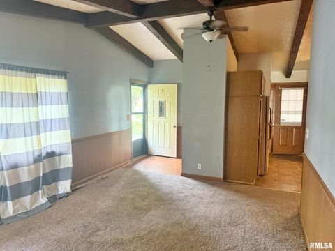 Tiny photo for 24 Adkins Street, Metropolis, IL 62960 (MLS # EB458706)