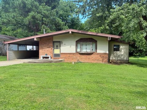 Photo of 24 Adkins Street, Metropolis, IL 62960 (MLS # EB458706)