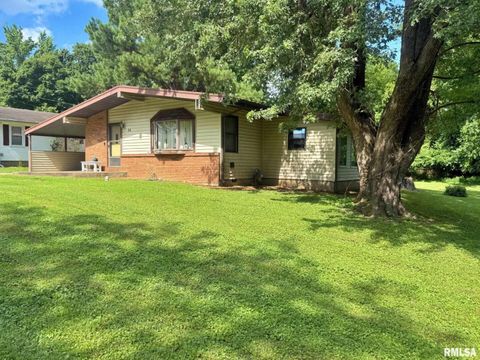 Tiny photo for 24 Adkins Street, Metropolis, IL 62960 (MLS # EB458706)