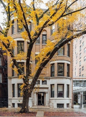 10 W CHESTNUT ST APT 4, CHICAGO, IL 60610 - Image d8c4b8a75f3a06a8a536663e4b39aac4/4087870526