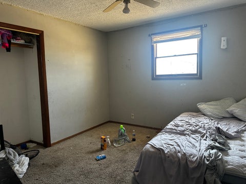 Tiny photo for 805 W Helen Avenue, Christopher, IL 62822 (MLS # 12578473)
