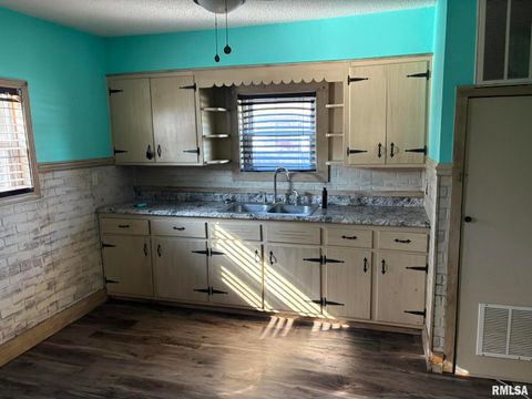 Tiny photo for 812 W Lindell Street, West Frankfort, IL 62896 (MLS # EB460328)