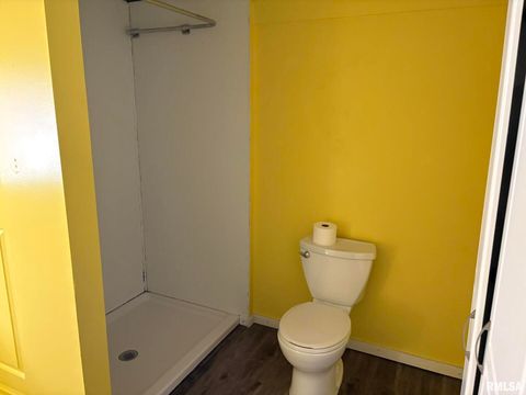 Tiny photo for 812 W Lindell Street, West Frankfort, IL 62896 (MLS # EB460328)