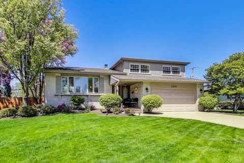 2210 E Michael Manor Lane Arlington Heights IL 60004