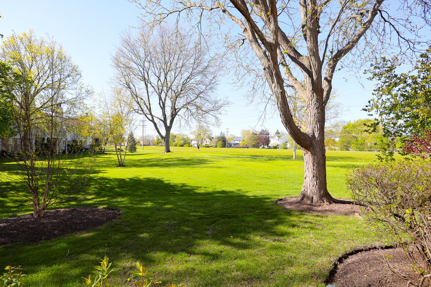 1224 Clearview Court