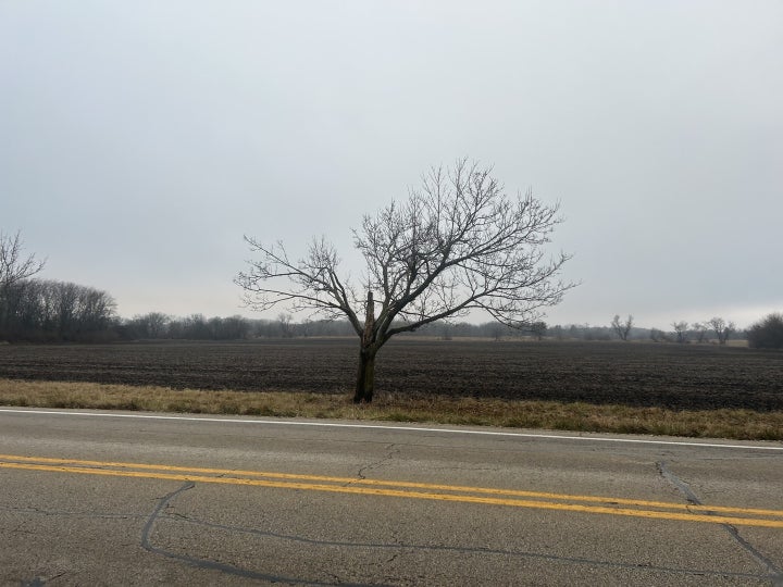 Photo 1 of 8 — 70 acres Galligan Road, Gilberts, IL 60136