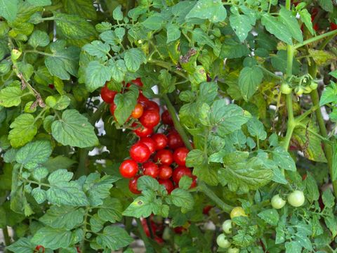 Tiny photo for 88 Gromer Road, Elgin, IL 60120 (MLS # 12622673)