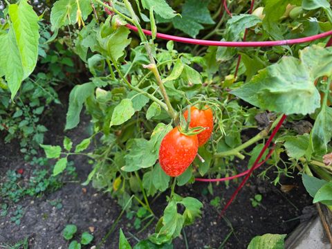 Tiny photo for 88 Gromer Road, Elgin, IL 60120 (MLS # 12622673)