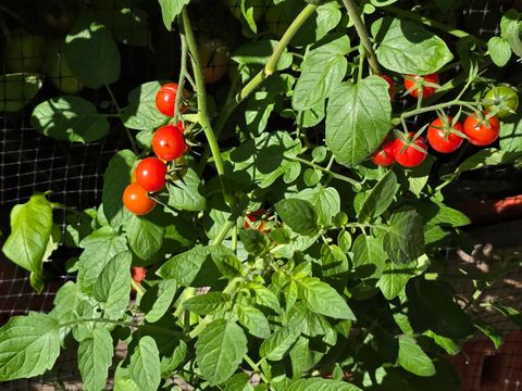 Tiny photo for 88 Gromer Road, Elgin, IL 60120 (MLS # 12622673)